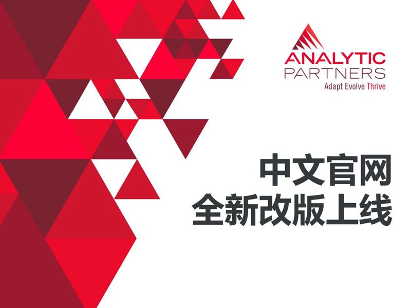 打造专属商城网站：选购指南